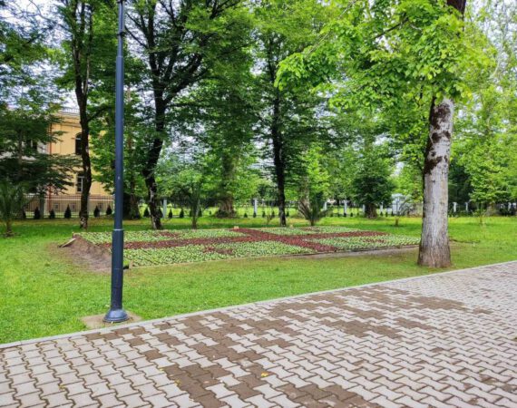 ბოტანიკურ ბაღს საქართველოს დროშის ფორმის ყვავილნარი შეემატა
