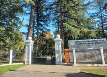 ბოტანიკურ ბაღში, 23 დეკემბერს, გაიმართება საახალწლო ღონისძიება