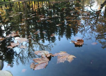 25-27 აპრილს კვლავ ნალექიანი და ქარიანი ამინდია მოსალოდნელი