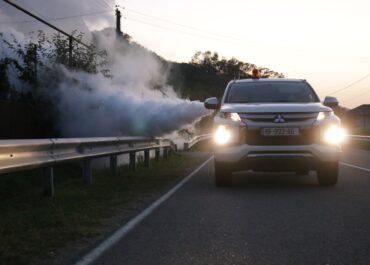 სეს – ფაროსანას გავრცელების არეალის დადგენის მიზნით, დასავლეთ საქართველოში მონიტორინგი დაიწყო