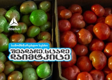 შეადარე, სცადე, დაიმტკიცე – თიბისის ახალი კამპანია
