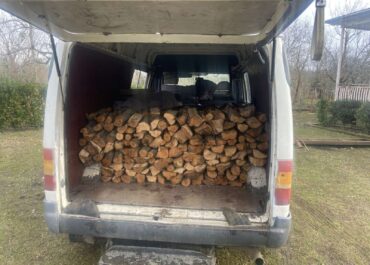 სამეგრელო-ზემო სვანეთში უკანონოდ  ტყითსარგებლობის ფაქტი გამოვლინდა