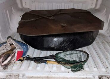 გარემოსდაცვითი ზედამხედველობის დეპარტამენტმა სამეგრელოში ბრაკონიერობის ფაქტი გამოავლინა