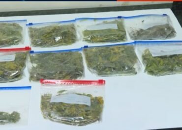 შსს – თბილისსა და რეგიონებში აღმოჩენილია კუსტარული ნარკოლაბორატორია