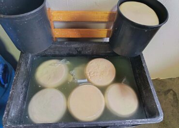 ქვემო ქართლში, სამეგრელოსა და იმერეთში რძის გადამამუშავებელი არალეგალური საწარმოები გამოვლინდა