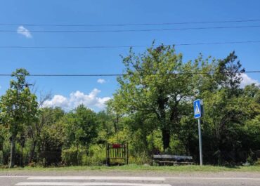 იყიდება ცაცხვში ეზო