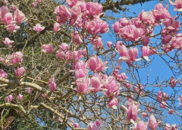 30 მარტიდან 31 მარტის დილამდე საქართველოში მოსალოდნელია დროგამოშვებით ნალექი