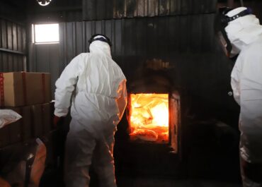 შინაგან საქმეთა სამინისტრომ უკანონო ბრუნვიდან ამოღებული, 19 მილიონ ლარამდე ღირებულების 626 კილოგრამი სხვადასხვა სახის ნარკოტიკული საშუალება გაანადგურა