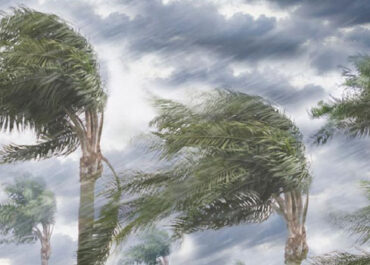 15 მარტს კოლხეთის დაბლობზე და ზემო იმერეთის ტერიტორიაზე მოსალოდნელია ძლიერი ქარი