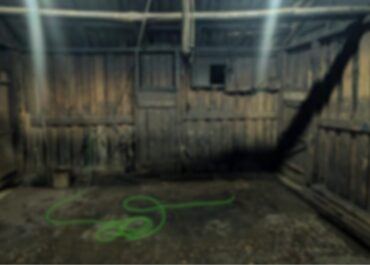 სურსათის ეროვნულმა სააგენტომ აბაშაში ცხოველთა არალეგალური სასაკლაო გამოავლინა