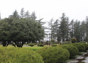 23-24 აპრილს საქართველოში კვლავ მოსალოდნელია დროგამოშვებით ნალექი