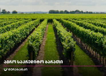 ტერაბანკის საკრედიტო ბარათი აგრო ბიზნესისთვის