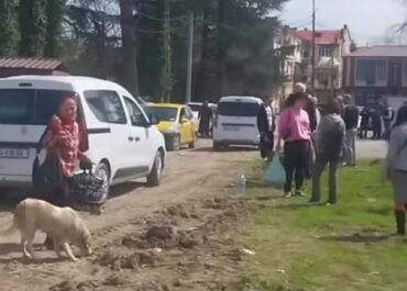 სურსათის ეროვნული სააგენტო – ზუგდიდში კიდევ 12 ძაღლი დაბრუნდა