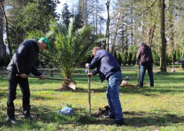 ბოტანიკურ ბაღს ირმის რქის ნერგები შეემატა
