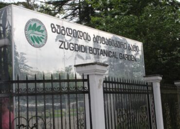 ვლაქერნობის დღესასწაულთან დაკავშირებით, დღეს ბოტანიკურ ბაღში შესვლა უფასო იქნება